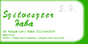 szilveszter haba business card